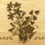 Bellflower 9x12 Grooved Maple Cutting Board
