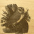 Owl 9x12 Grooved Engraved Cutting Board