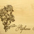 Rose Ribbon 10x16 Grooved Cutting Board - View 3