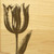 Tulip 9x12 Grooved Cutting Board