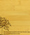 Tree Planting Inspirational Multikeep Box Wood Organizer - View 3
