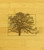 Trees Outdoors Countryside Multikeep Box Light Wood Chest - View 2