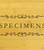Specimens Science Multikeep Box Wooden Chest - View 3