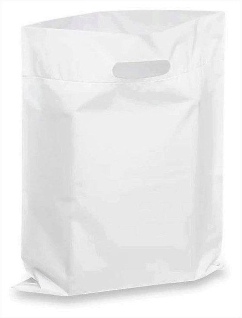 Retail Packaging Shopping Bags Page 1 BagOutlet.ca