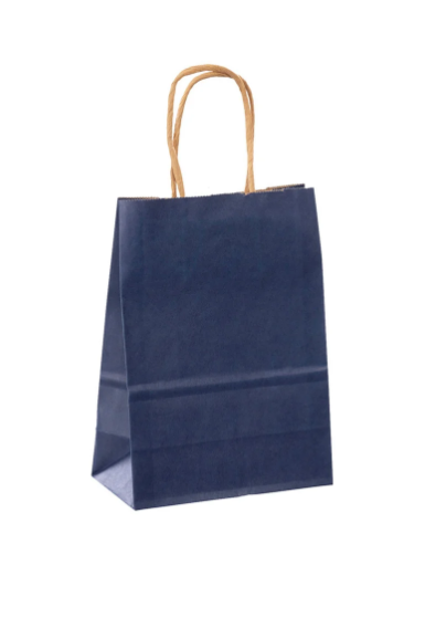 Small navy kraft paper shopping bag with twisted paper handles