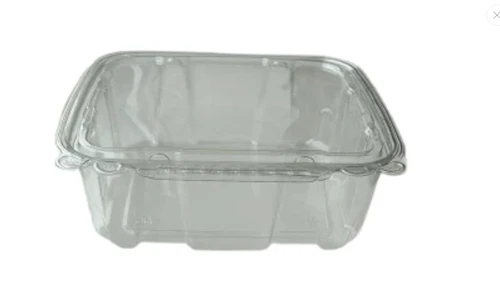 Clear hinged container 8.75"x8.00"x2.50"