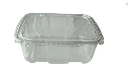 Clear hinged container 8.75"x8.00"x3.00"