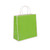Paper Shopping Bags Oxford Totes Green 10 x 4 x 10- (Small Case of 40) - 1 Case Left
