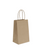 Kraft Paper Bags Twisted Paper Handles 5.25x3.5x8.5" Case of  250