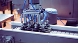 Exploring the Different Applications of NSF Hoses in the Food Industry