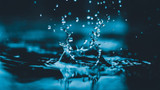The Impact of Silicone Hoses on Water Conservation Efforts