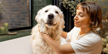 Creative Ways to Utilize Silicone Hoses in Your Home