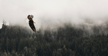 What Makes Silicone So Strong And Flexible? 