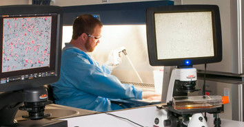 What You Need To Know About The Medical Grade Silicone Market