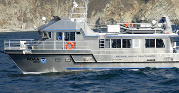 Your Guide to Silicone Hose Construction