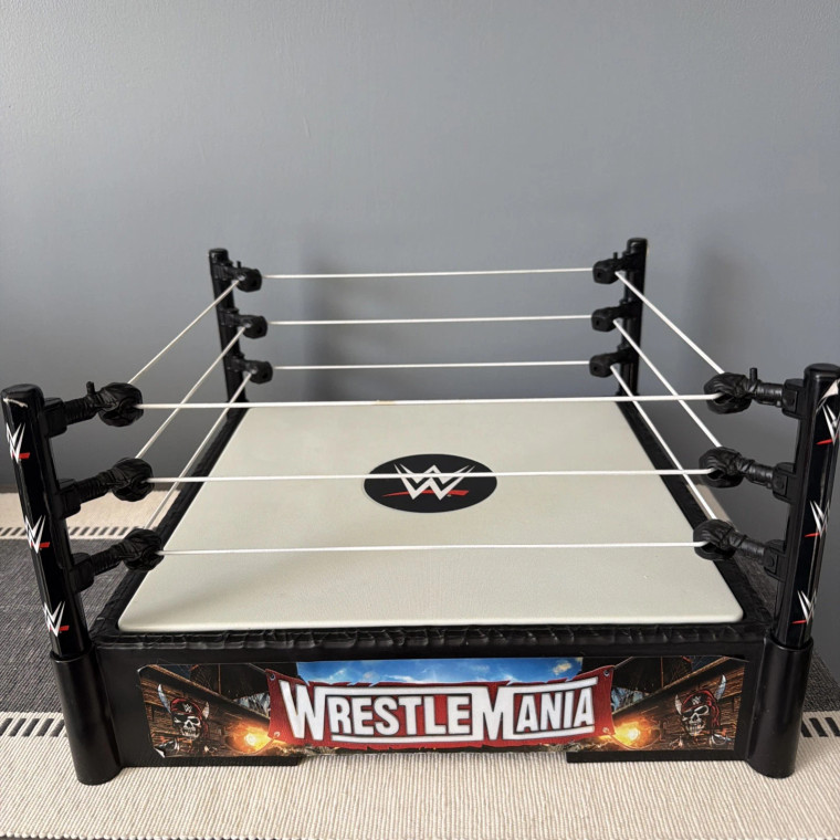 Mattel WWE Superstar Ring Asst P9600