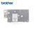 Brother Needle Plate - NV1, 1e, XV, XP, V - XE4092501