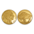A picture of 2026 .9999 Pure Gold $5 Buffalo Coin