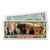 A picture of the "Secure America" $2 Bill**