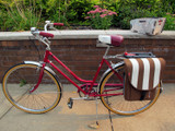 Cita Plus pannier - brown by KLICKfix