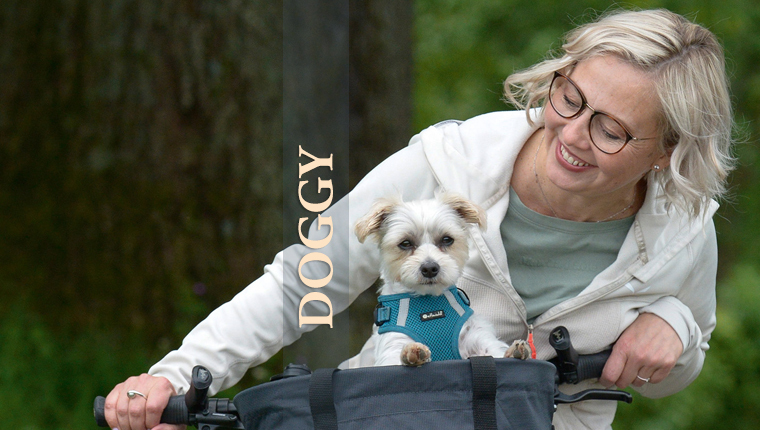 Doggy Shopper, KLICKfix, Pets basket