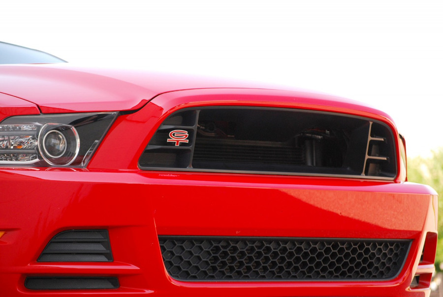 Mustang Performance Grille (2013-14)