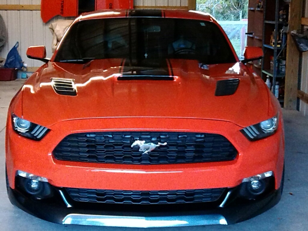 hal-kirkland-mustang.jpg