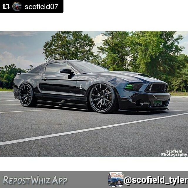 jeff-scofield-2014-shelby-gt500-black-with-outlaw-wheels.jpg