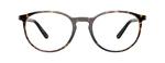 DONNELLON_SQUARE_tortoise_FRONT__86627.png
