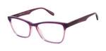 Plum Fade SCOJO Angle