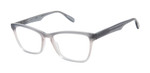 Grey Fade SCOJO Angle