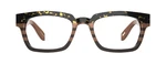 Brown Beige Tortoise Front View