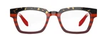 Red Black Tortoise Front View
