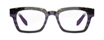 Purple Black Tortoise Front View