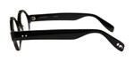 Grey Tortoise Black Side View