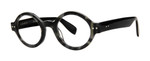 Grey Tortoise Black Main View