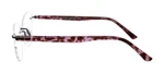 Violet Tortoise Side View