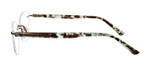 Spring Tortoise Side View
