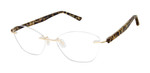 Brown Cream Tortoise Side View