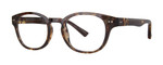 Havana Tortoise Fade Angle View