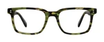 Lime Tortoise Front View