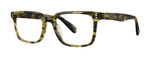 Lime Tortoise Main View