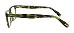 Lime Tortoise Side View