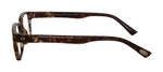 Grey Tortoise Side View