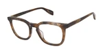 Light Brown Horn Angle View
