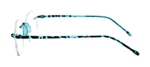 Teal Tortoise Side View