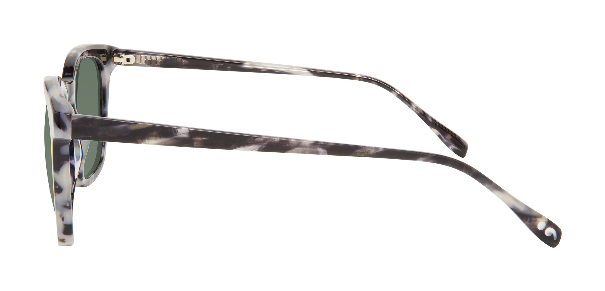 Mineral Tortoise Side View