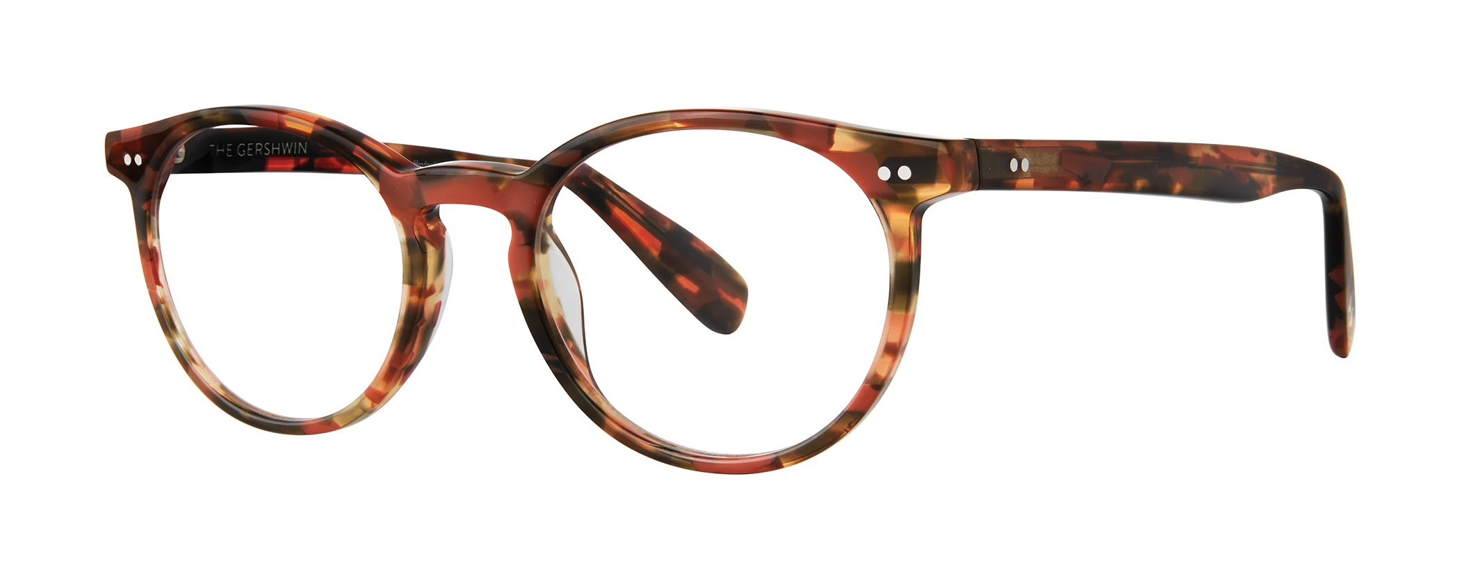 Amber Tortoise Main View