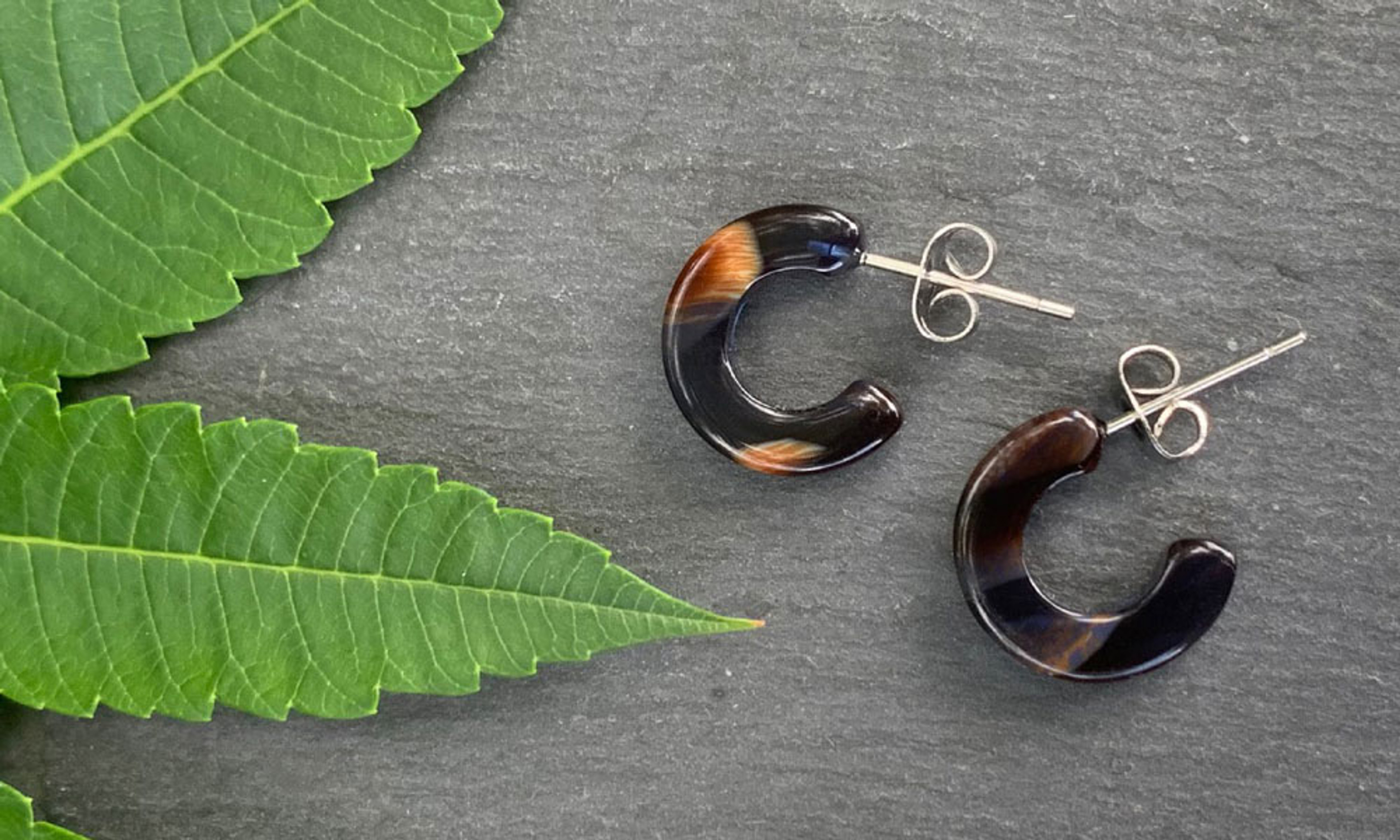 Introducing Acetate Accessories + Display Cases