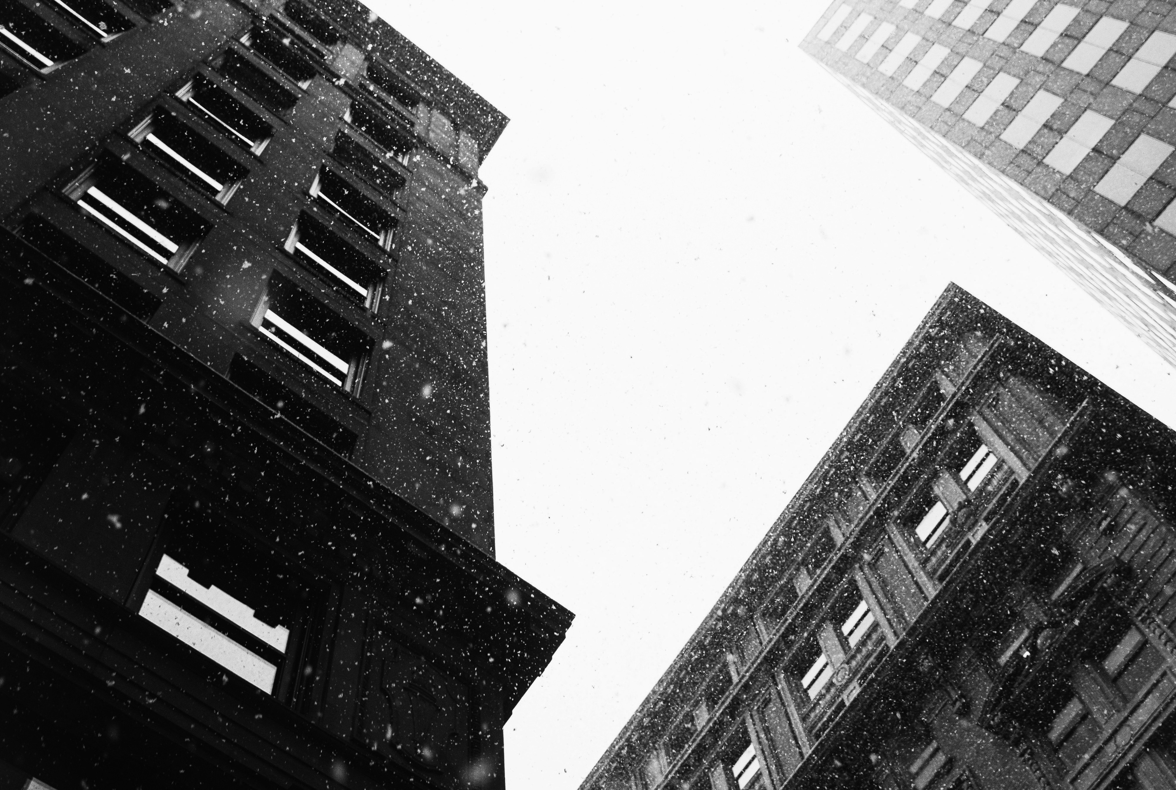 Celebrating Our City this Black History Month